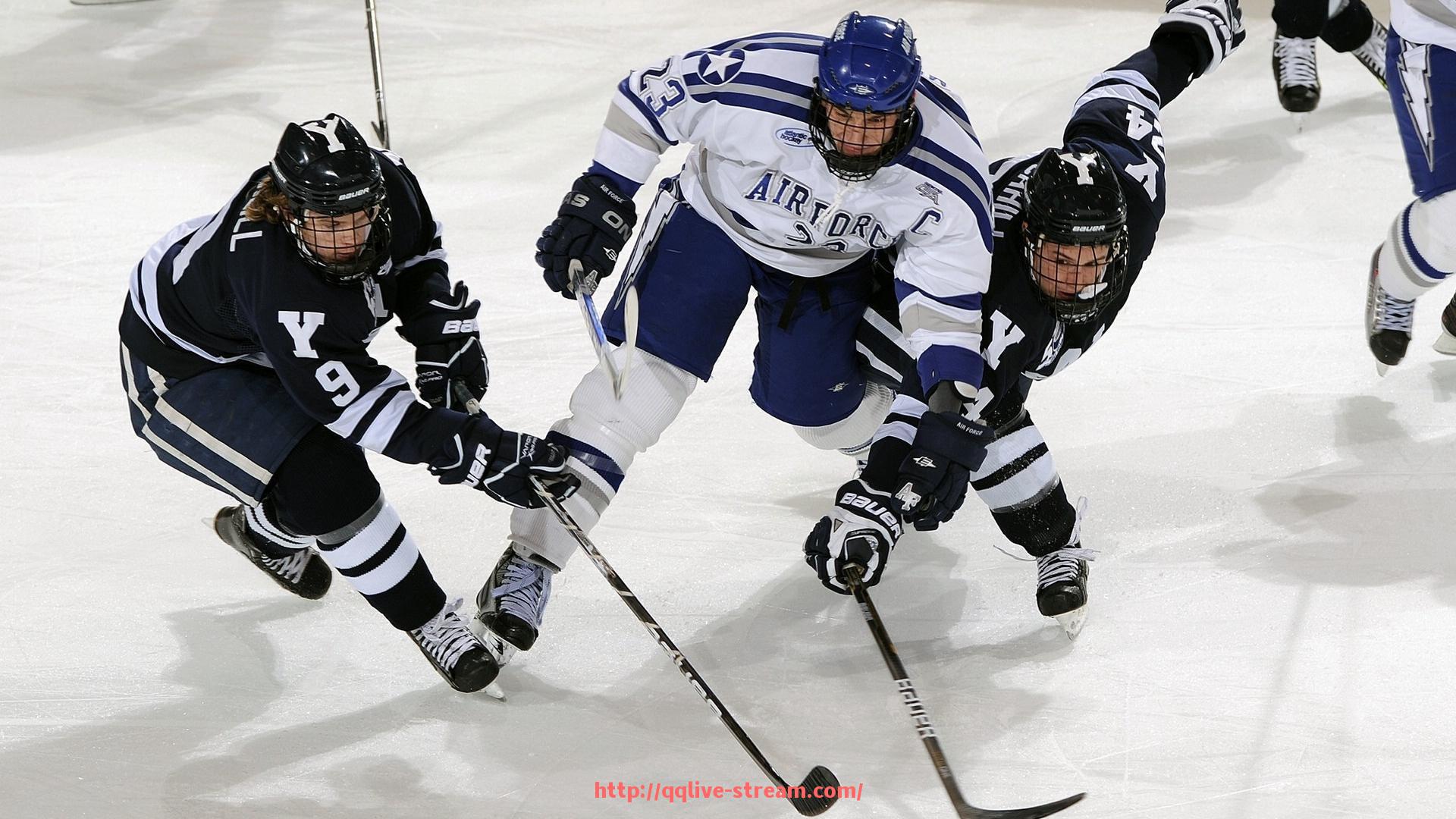 企鹅直播-东莞CBA球队总经理信息及俱乐部运营状况